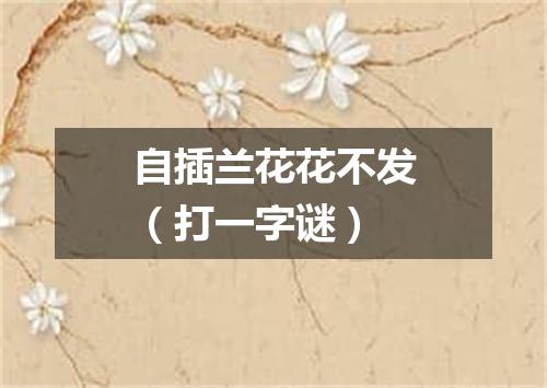自插兰花花不发（打一字谜）