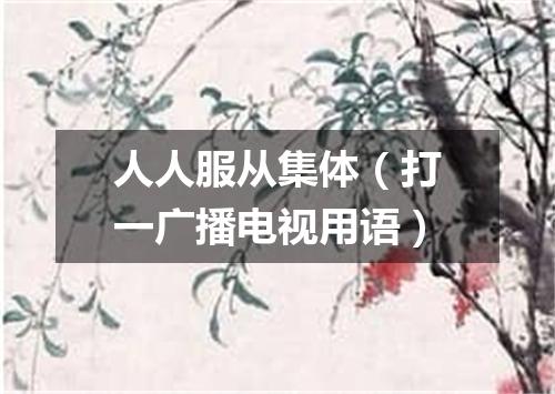 人人服从集体（打一广播电视用语）
