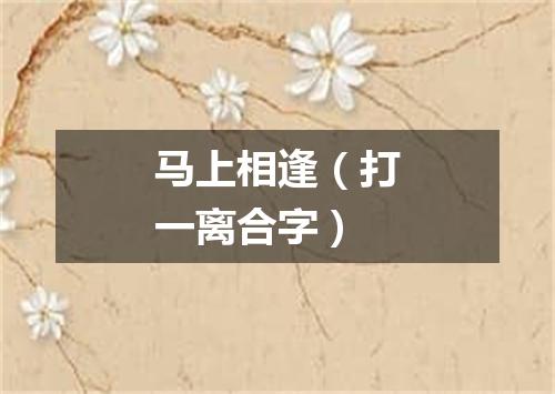 马上相逢（打一离合字）