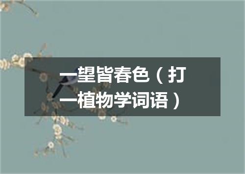 一望皆春色（打一植物学词语）