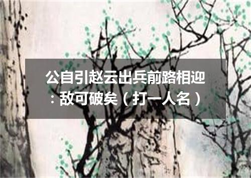 公自引赵云出兵前路相迎：敌可破矣（打一人名）