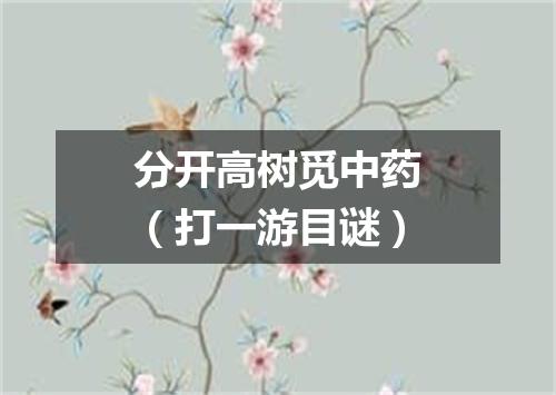 分开高树觅中药（打一游目谜）