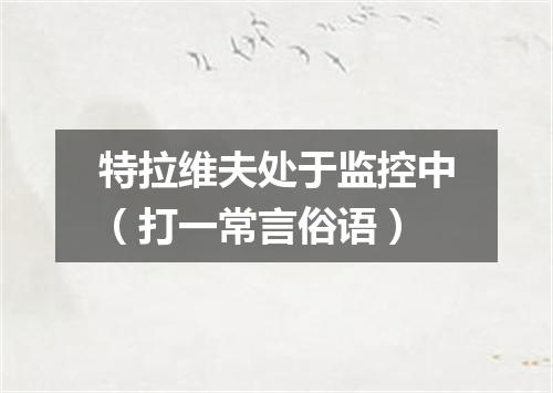 特拉维夫处于监控中（打一常言俗语）