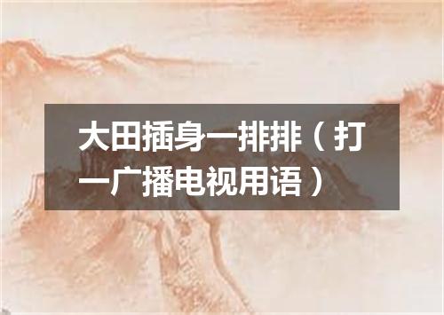 大田插身一排排（打一广播电视用语）