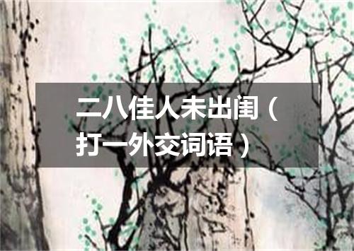 二八佳人未出闺（打一外交词语）