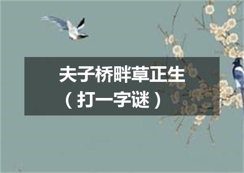 夫子桥畔草正生（打一字谜）