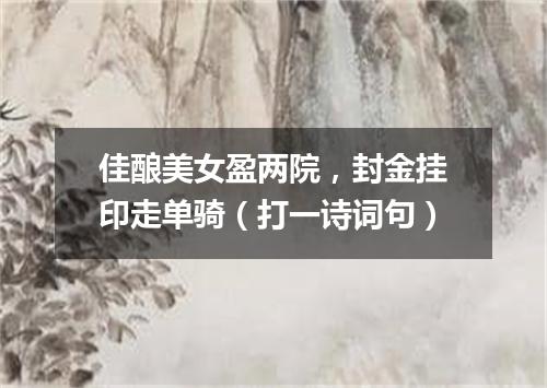 佳酿美女盈两院，封金挂印走单骑（打一诗词句）
