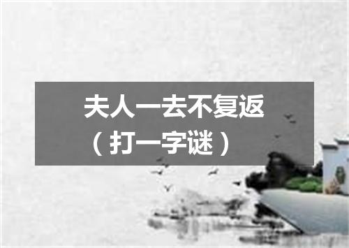 夫人一去不复返（打一字谜）