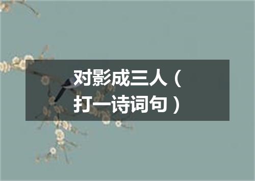 对影成三人（打一诗词句）