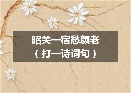 昭关一宿愁颜老（打一诗词句）