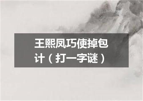 王熙凤巧使掉包计（打一字谜）