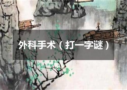 外科手术（打一字谜）
