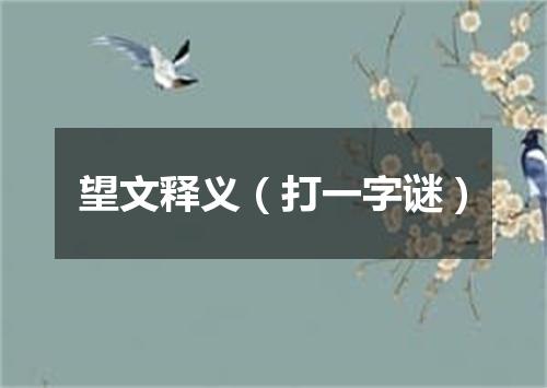 望文释义（打一字谜）