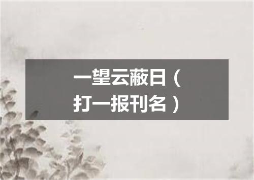 一望云蔽日（打一报刊名）