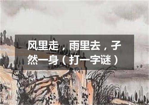 风里走，雨里去，孑然一身（打一字谜）