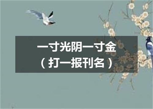 一寸光阴一寸金（打一报刊名）