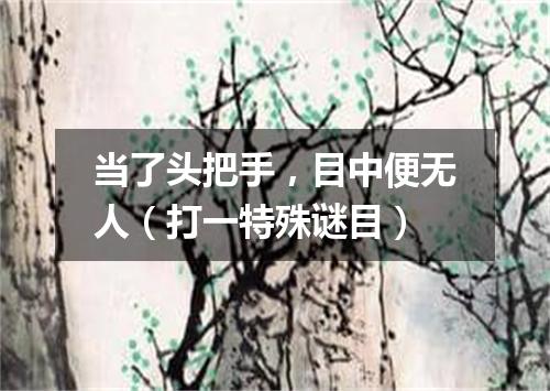 当了头把手，目中便无人（打一特殊谜目）