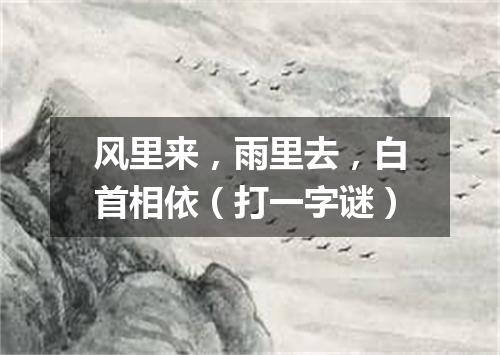 风里来，雨里去，白首相依（打一字谜）