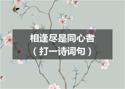相逢尽是同心者（打一诗词句）