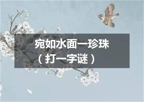 宛如水面一珍珠（打一字谜）