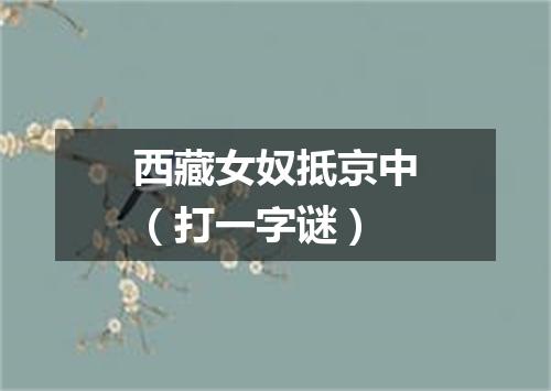 西藏女奴抵京中（打一字谜）