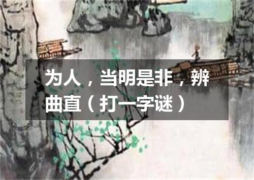 为人，当明是非，辨曲直（打一字谜）