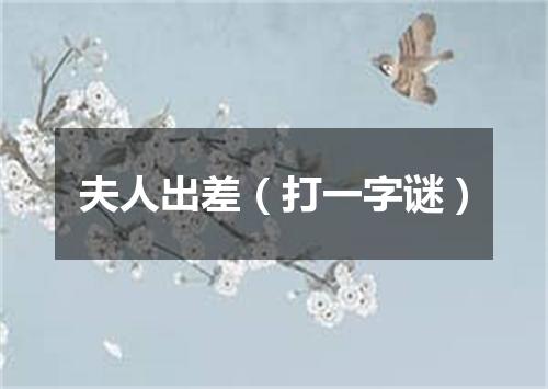 夫人出差（打一字谜）
