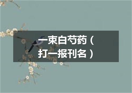 一束白芍药（打一报刊名）