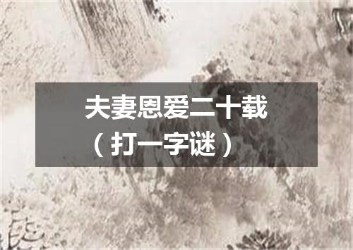 夫妻恩爱二十载（打一字谜）