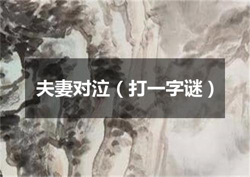 夫妻对泣（打一字谜）