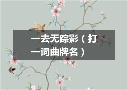 一去无踪影（打一词曲牌名）