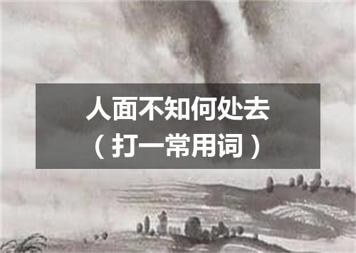 人面不知何处去（打一常用词）