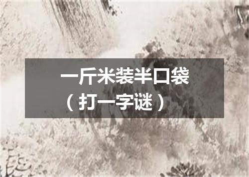 一斤米装半口袋（打一字谜）