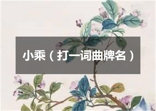小乘（打一词曲牌名）