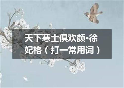 天下寒士俱欢颜·徐妃格（打一常用词）