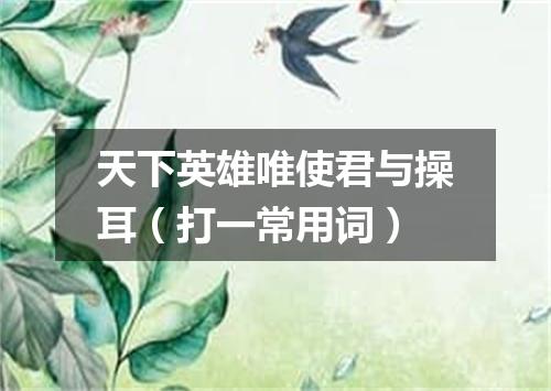 天下英雄唯使君与操耳（打一常用词）