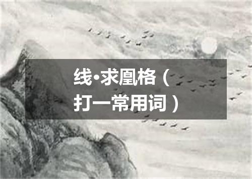 线·求凰格（打一常用词）