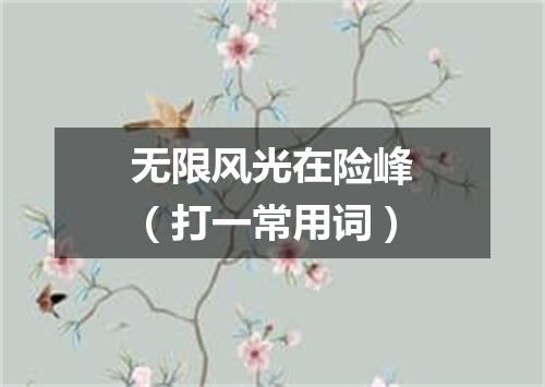 无限风光在险峰（打一常用词）