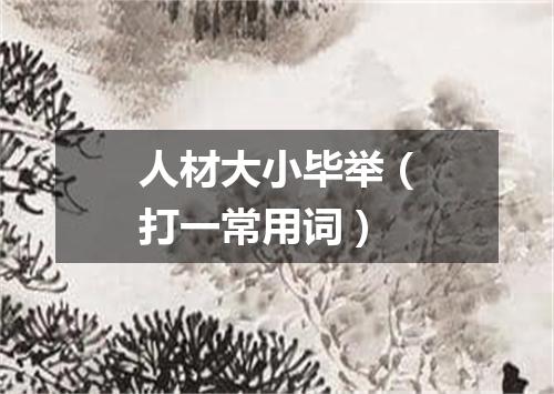 人材大小毕举（打一常用词）