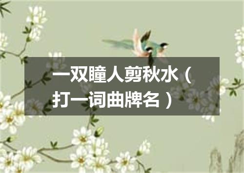 一双瞳人剪秋水（打一词曲牌名）