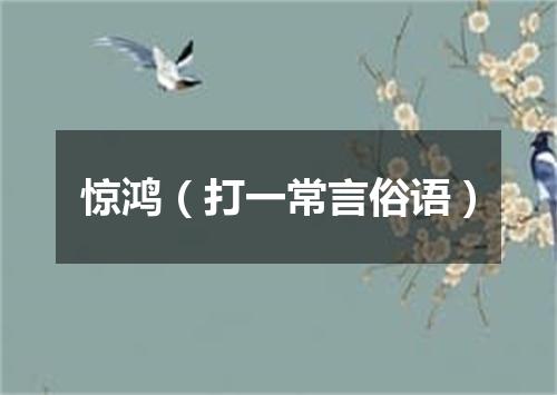 惊鸿（打一常言俗语）