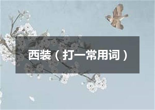 西装（打一常用词）