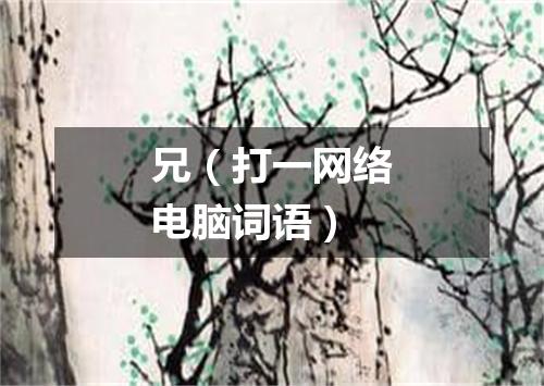 兄（打一网络电脑词语）