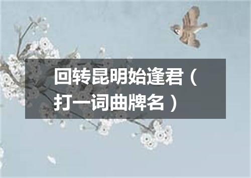回转昆明始逢君（打一词曲牌名）