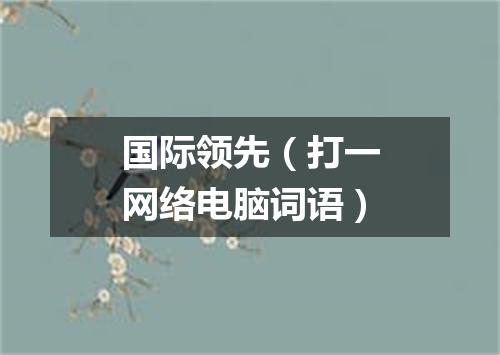 国际领先（打一网络电脑词语）