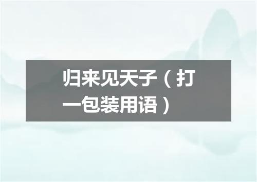 归来见天子（打一包装用语）