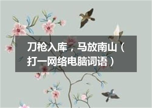 刀枪入库，马放南山（打一网络电脑词语）