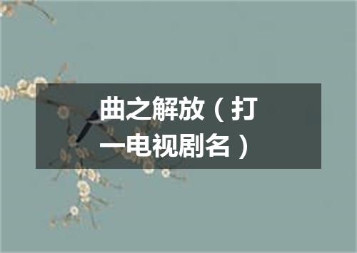 曲之解放（打一电视剧名）