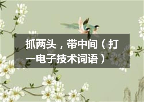 抓两头，带中间（打一电子技术词语）