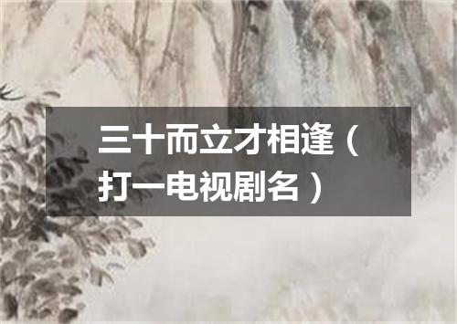 三十而立才相逢（打一电视剧名）